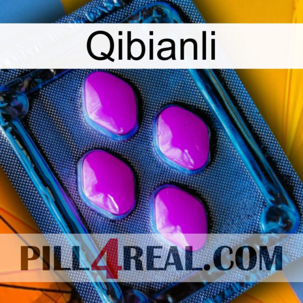 Qibianli 04